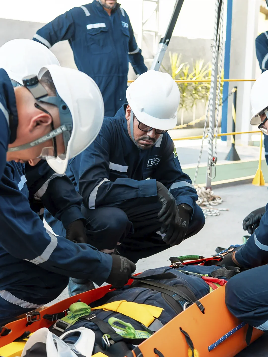 reef soluções Treinamentos presencias, híbridos e online 01 - 8